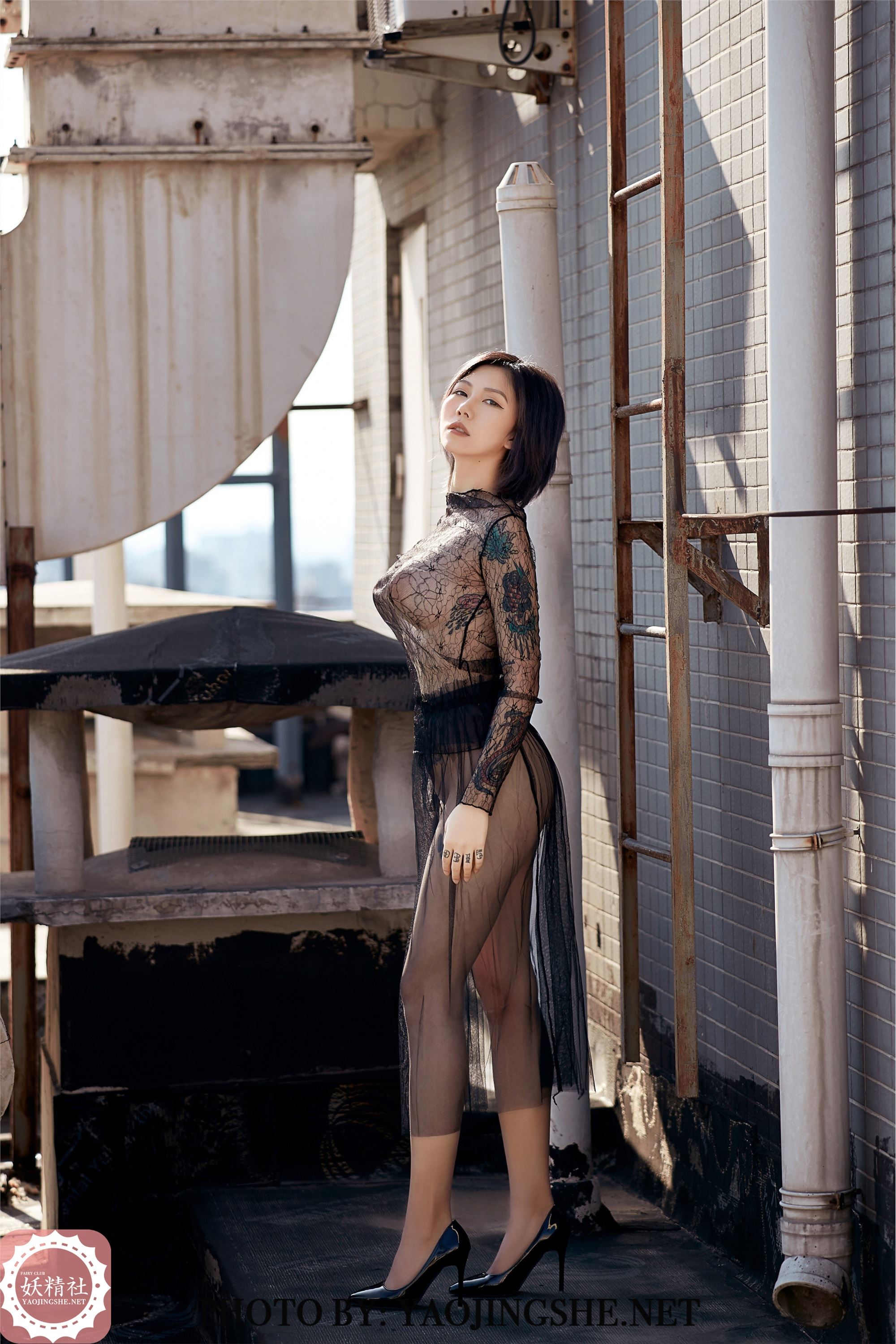 妖精社  2020.01.07 V2002 菊花 《望京》